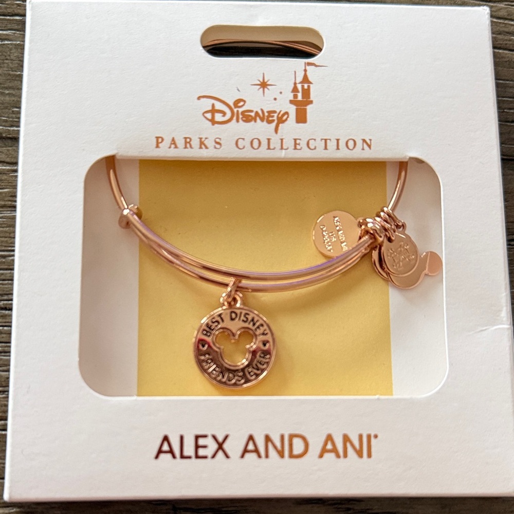 Alex and Ani Disney Parks Collection Bracelet